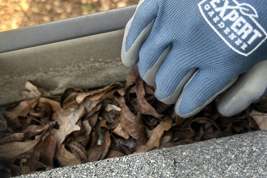 Gutter Cleaning Aragona Village