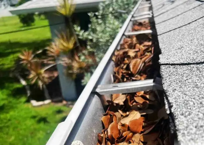 Gutter Cleaning Aragona Village home page